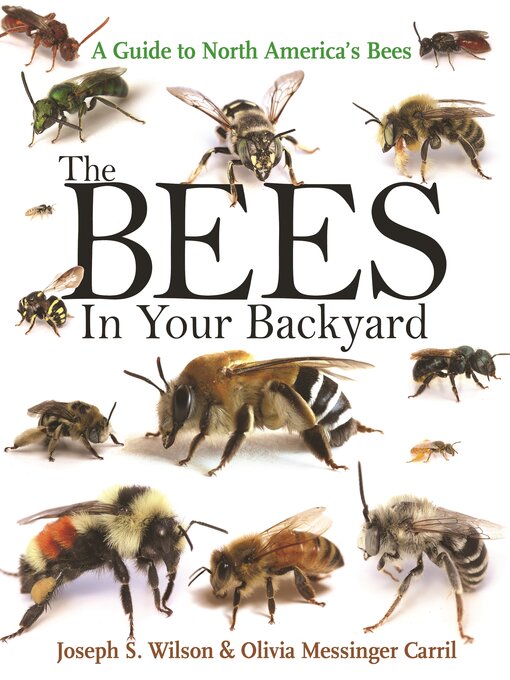 Title details for The Bees in Your Backyard by Joseph S. Wilson - Available